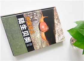 陸生貝類 精裝畫冊(cè)印刷出版 陸生貝類 精裝畫冊(cè)印刷出版