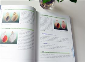 陸生貝類 精裝畫冊(cè)印刷出版 陸生貝類 精裝畫冊(cè)印刷出版