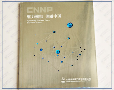 魅力核電 美麗中國
