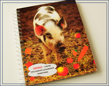 兒童模切書 我襟懷古