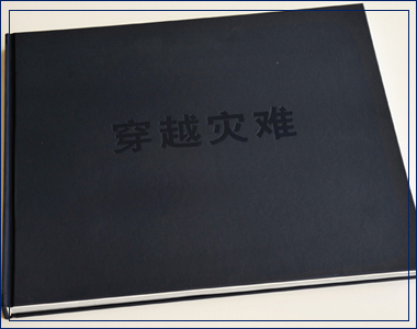 蔡東福書法作品集 蔡東福書法作品集