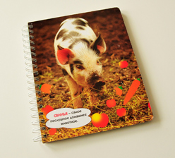 兒童模切書 圈裝書印刷 兒童模切書 圈裝書印刷